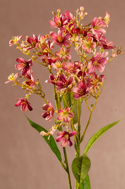 F408-P1 Daphne Spray 72 cm tm. růžová